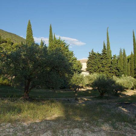Mas Provencal La Serallere Au Coeur Des Oliviers Venterol  Exterior foto